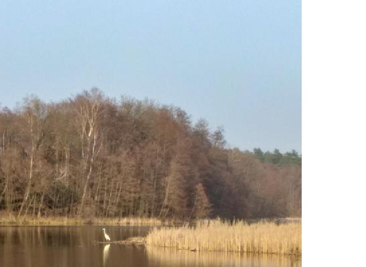 Pension & Gasthaus Kattenstieg Kattenstiegs-Muhle Exteriör bild