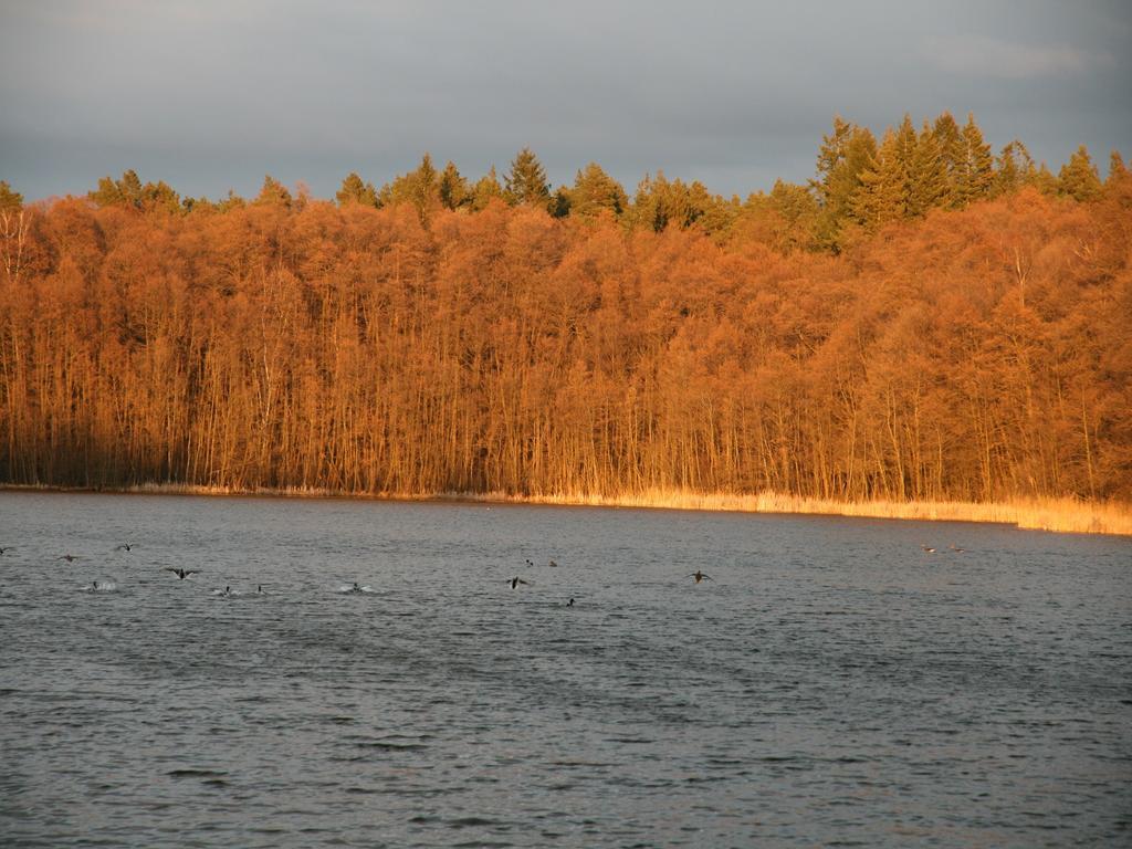 Pension & Gasthaus Kattenstieg Kattenstiegs-Muhle Exteriör bild