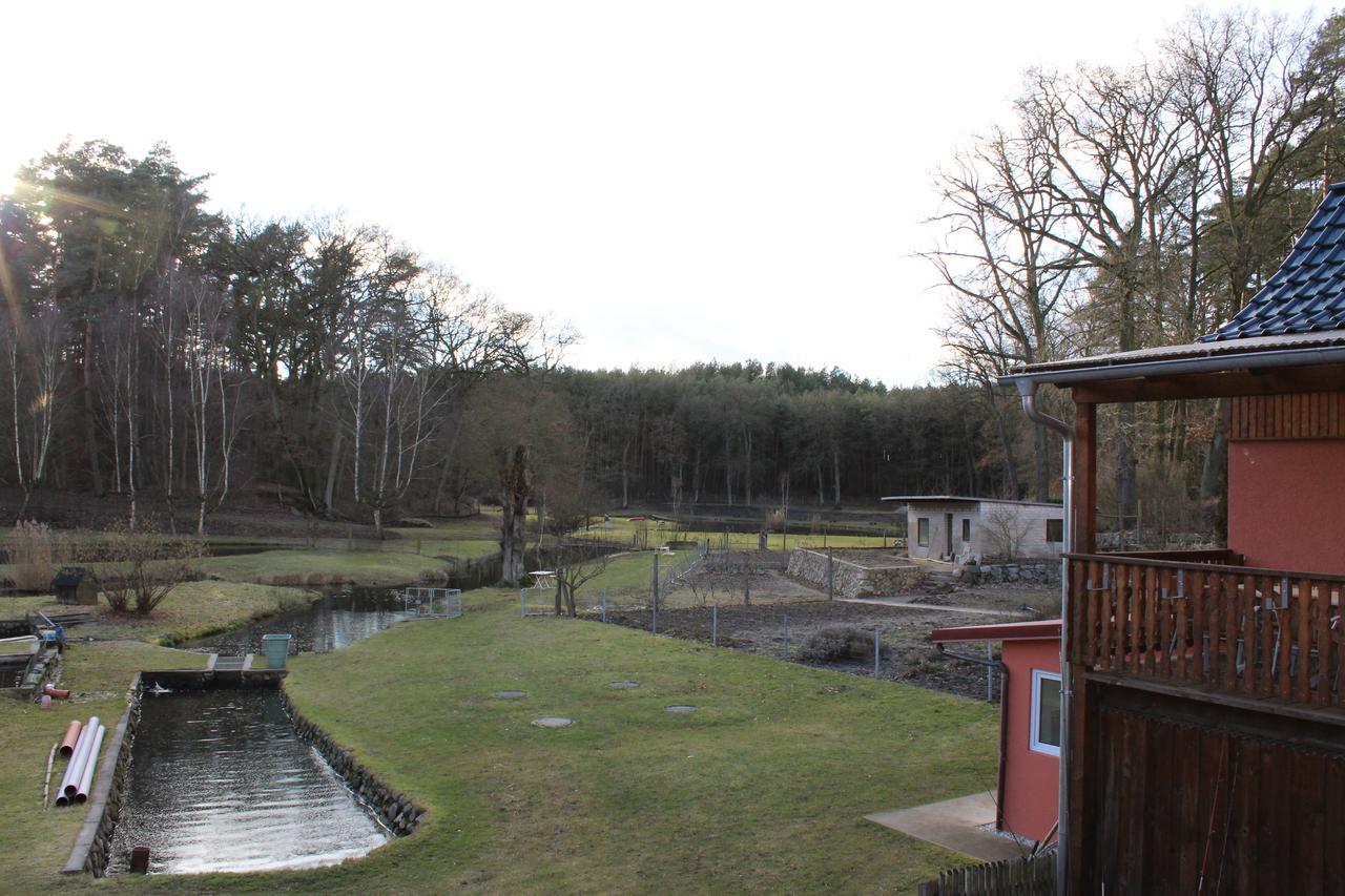 Pension & Gasthaus Kattenstieg Kattenstiegs-Muhle Exteriör bild